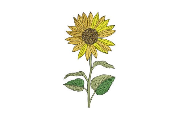 Sunflower Embroidery: A Designer's Seasonal Review
